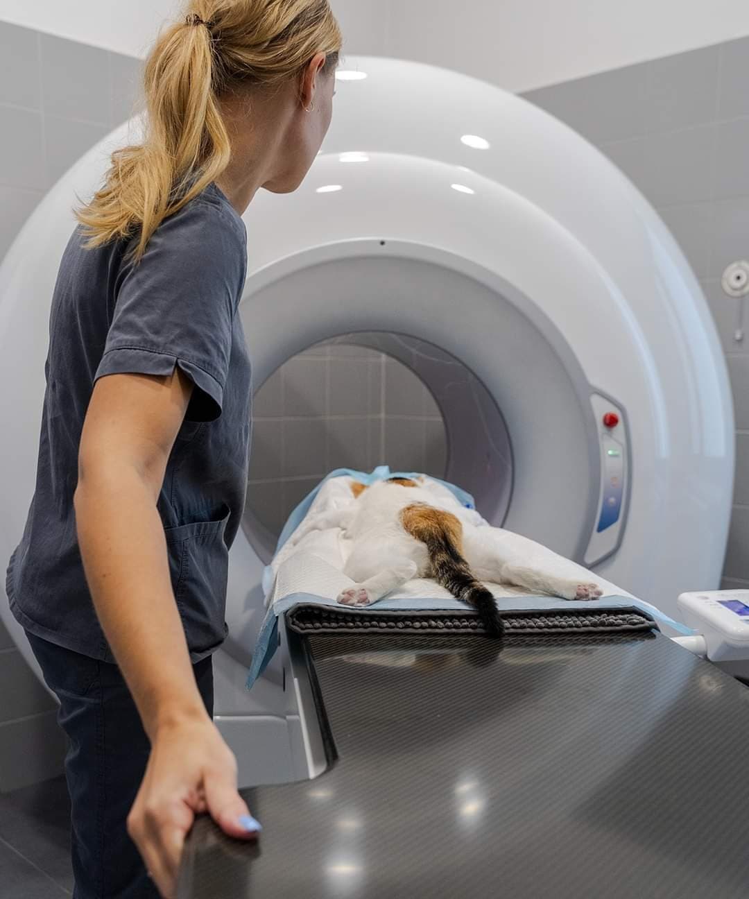 diagnostyka obrazowa — tomografia u pacjenta
